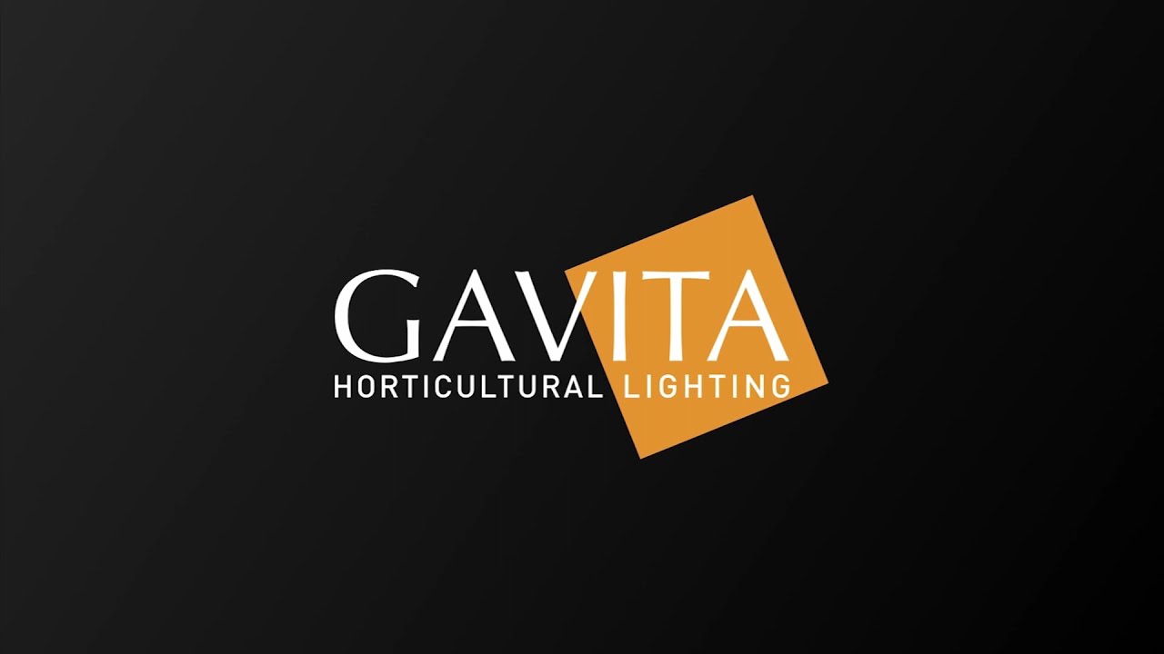 Gavita logo