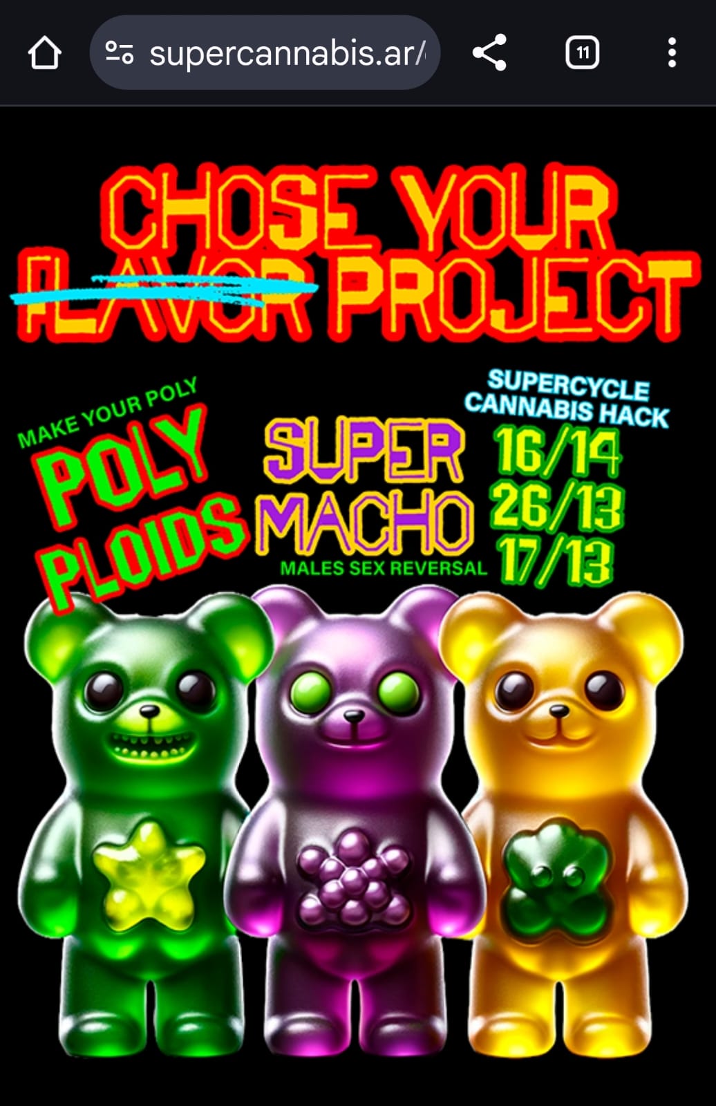 SuperCannabis homepage